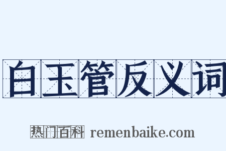 白玉管反义词是什么意思的图片